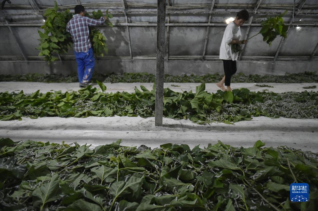 连环夺宝免费赢现金